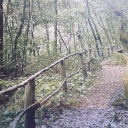 Brenas Garden C9 Διαμέρισμα Breña Baja Εξωτερικό φωτογραφία
