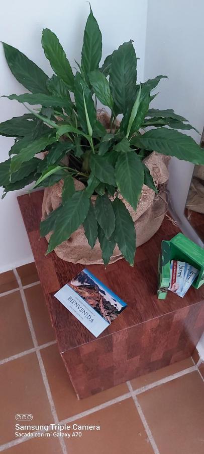 Brenas Garden C9 Διαμέρισμα Breña Baja Εξωτερικό φωτογραφία