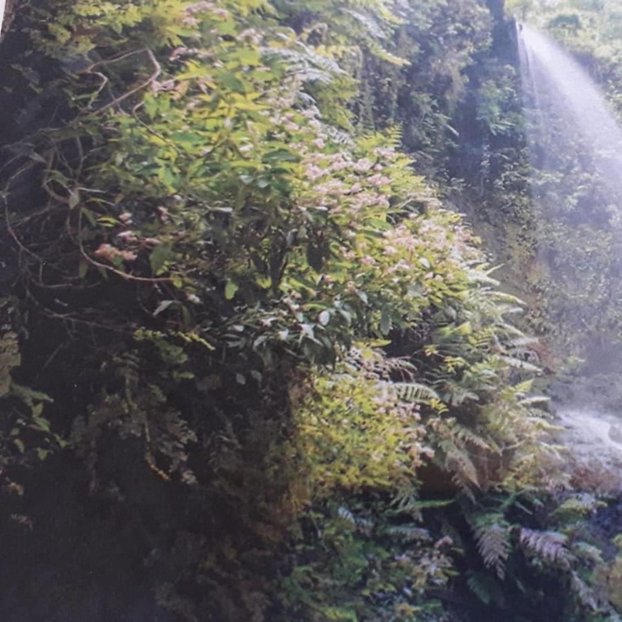 Brenas Garden C9 Διαμέρισμα Breña Baja Εξωτερικό φωτογραφία